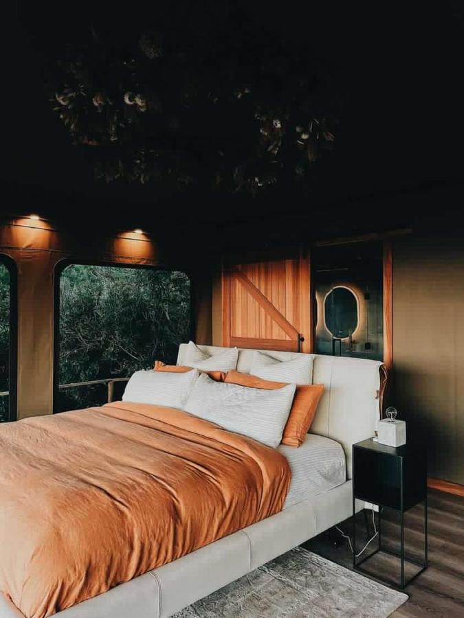 Drift Off Grid Luxury Eco Glamping Ξενοδοχείο Tarakohe Εξωτερικό φωτογραφία